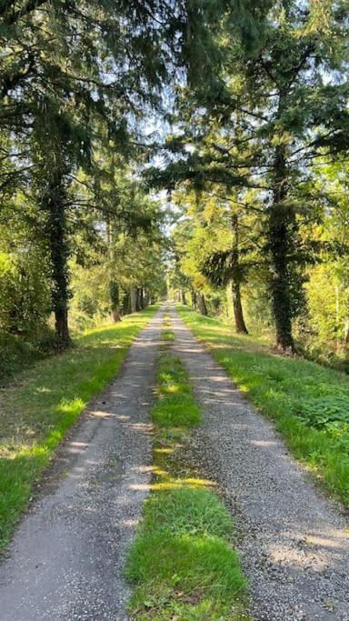 Charmante Maisonette A Arconnay Zewnętrze zdjęcie